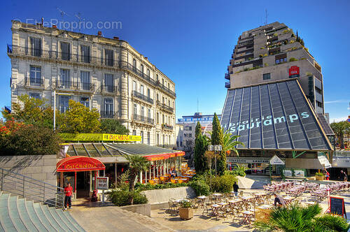 Commerce à MONTPELLIER