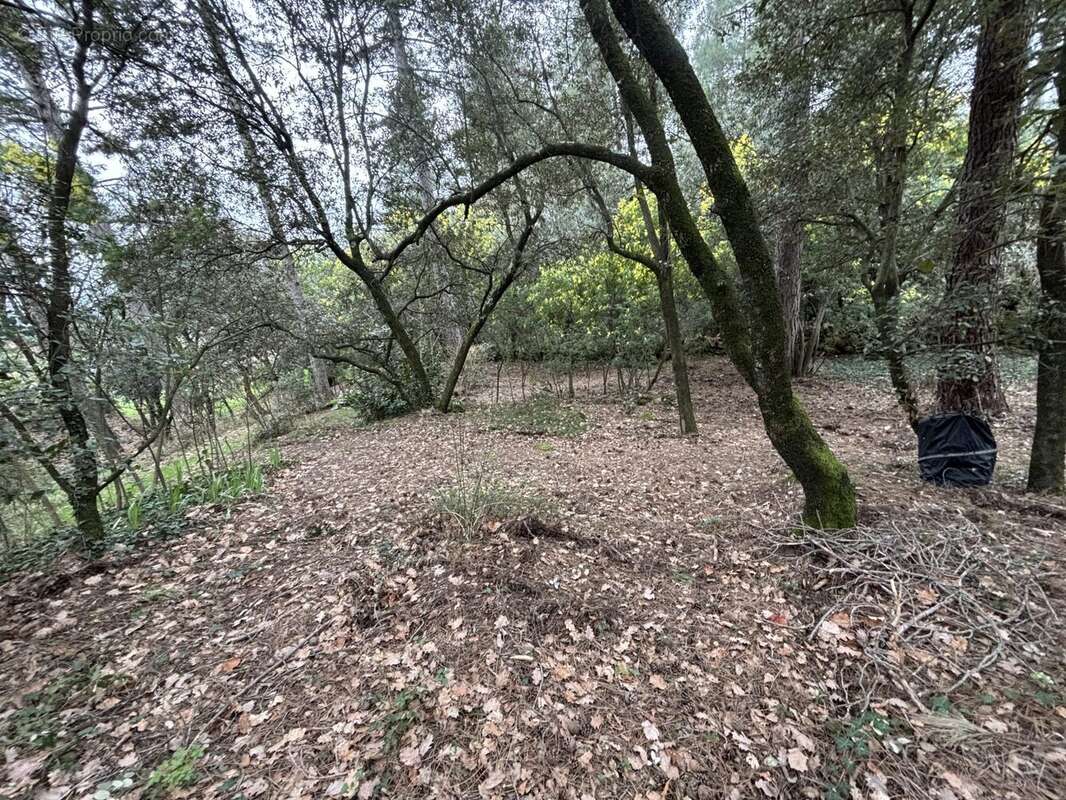 Terrain 1292 m² à Ucel  - photo 5