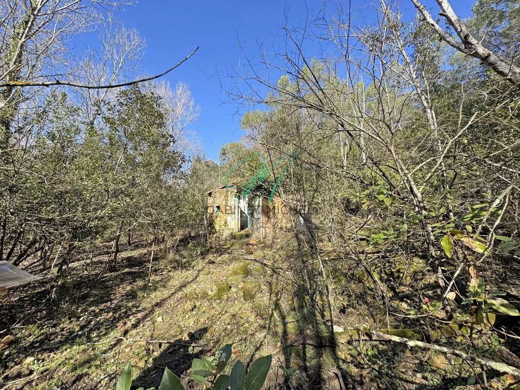 Terrain à LE ROURET