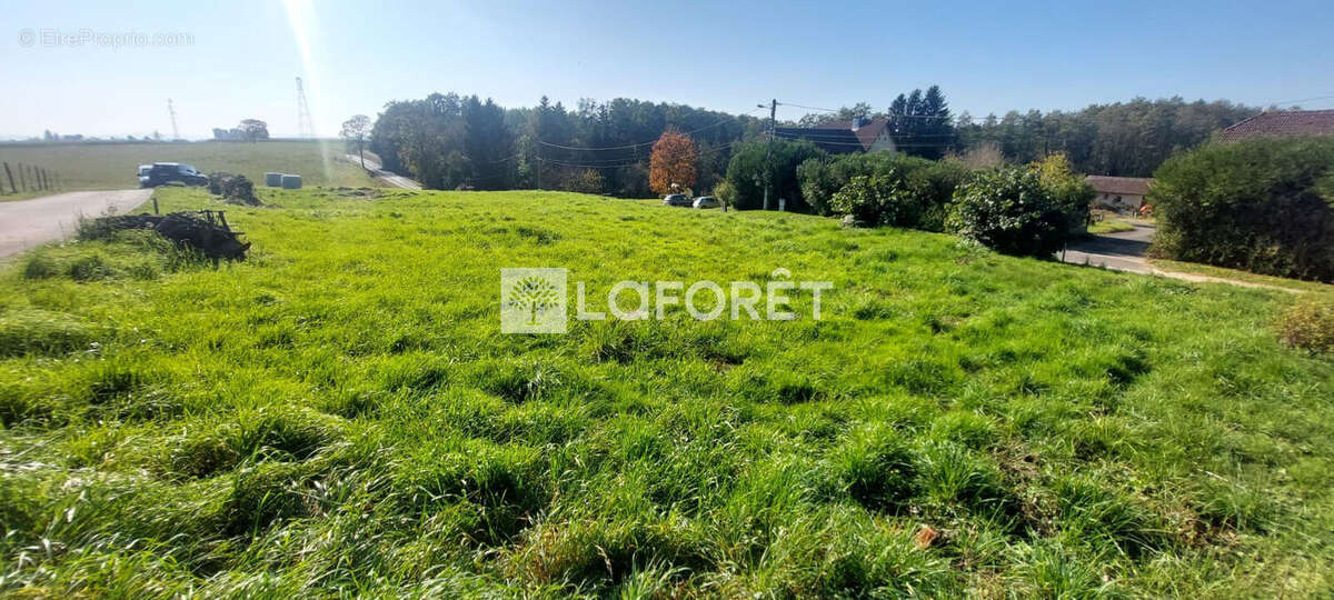 Terrain à CHAVANATTE