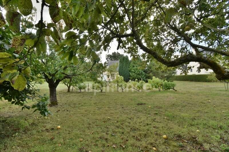 Maison 3 chambres sur plus de 4900 m2 de jardin - photo 5