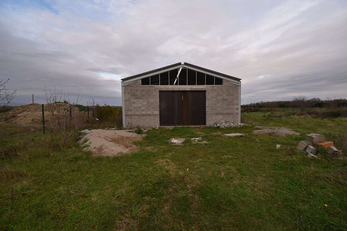 Commerce à CINTEGABELLE