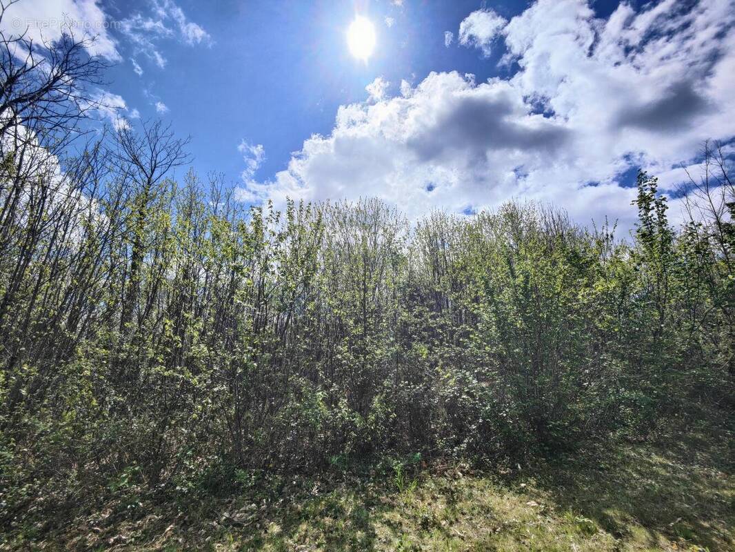 Terrain à MARSAC-SUR-L'ISLE