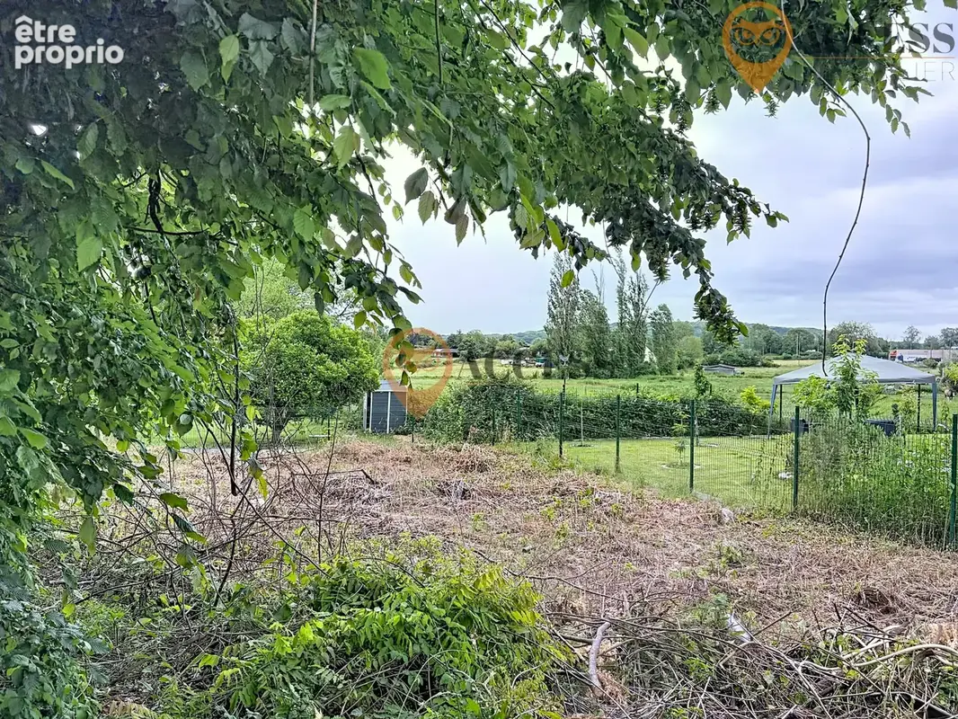 PISCOP - Petite maison à rénover de plus 40m2 sur une parcelle de 331m2 ! - photo 2