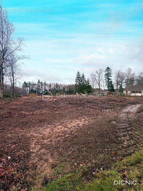 Terrain constructible - LA FERTE EN OUCHE - photo 3