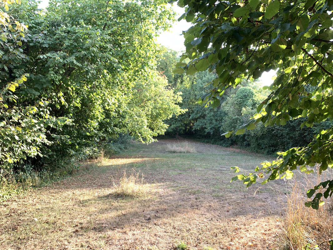 Terrain à SARREGUEMINES