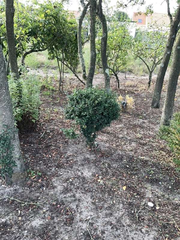 Maison à AIRON-SAINT-VAAST