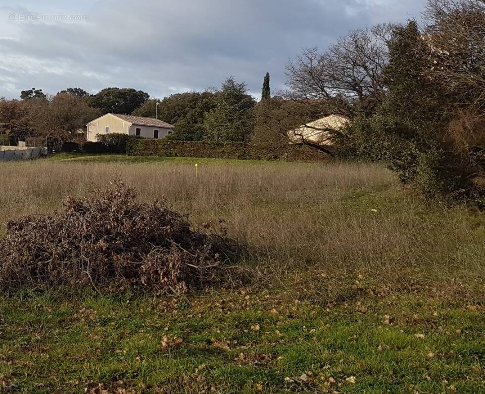 Terrain à MONTAGNAC