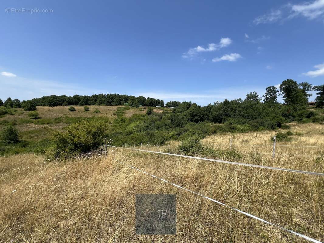 n°3 - Maison à MOISSAC