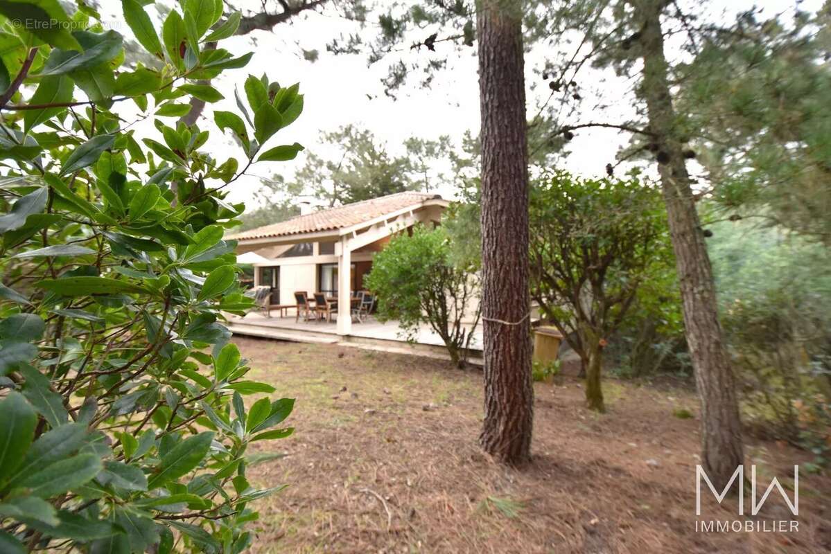 Maison à LEGE-CAP-FERRET