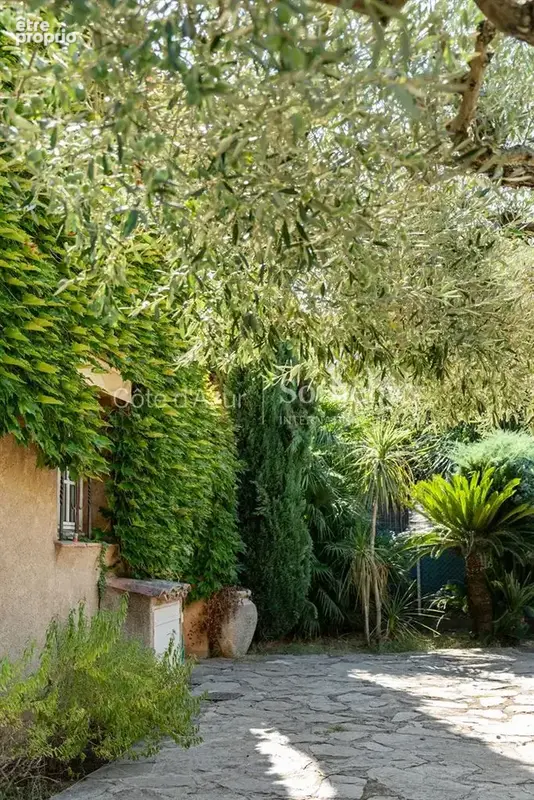Saint Tropez, maison à rénover avec jardin à quelques minutes à pied du village - photo 9