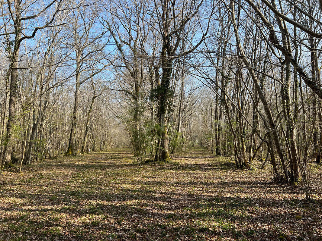 Maison à NOGENT-SUR-VERNISSON