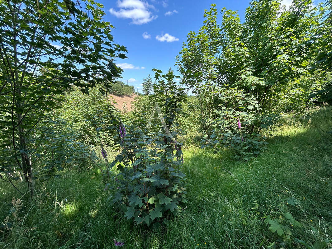 Terrain à CHATEAU-GONTIER