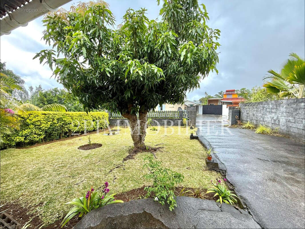 Maison à SAINT-PHILIPPE