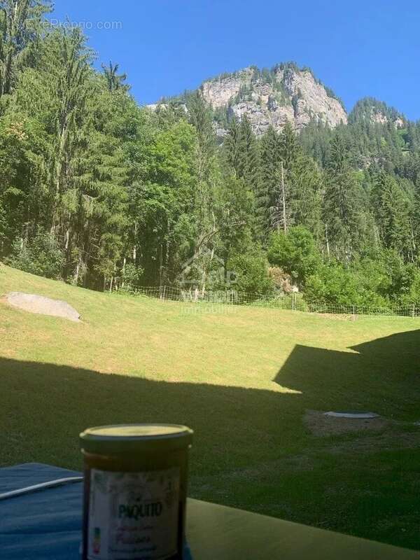 Appartement à CHATEL