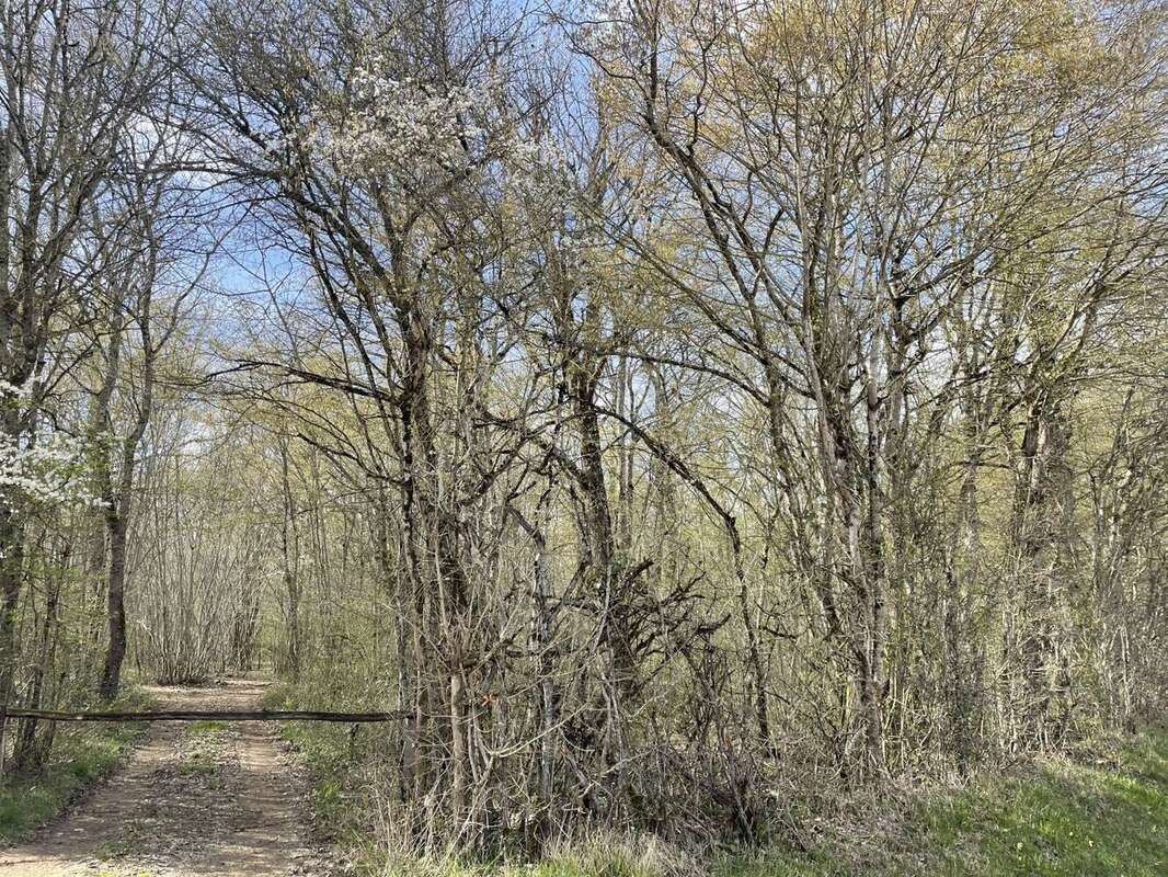 Terrain à CHEZAL-BENOIT
