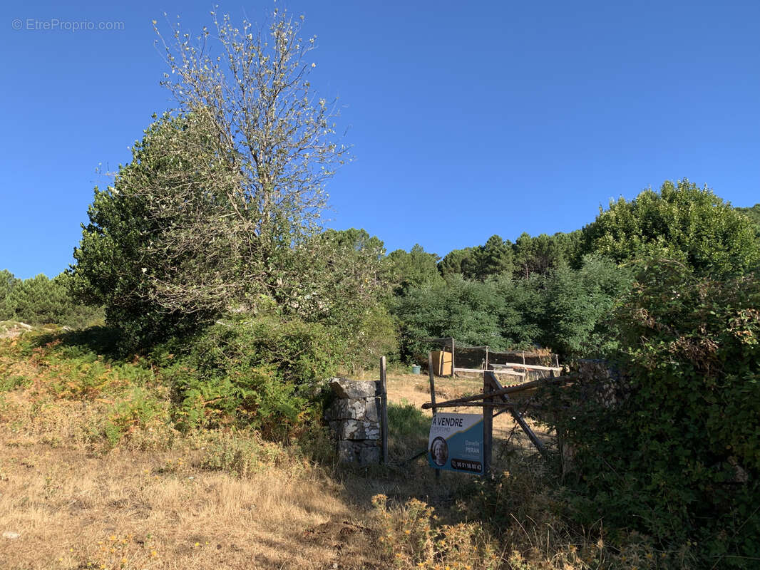 Terrain à bâtir à Cartalavone, commune de Porto-Vecchio - photo 12