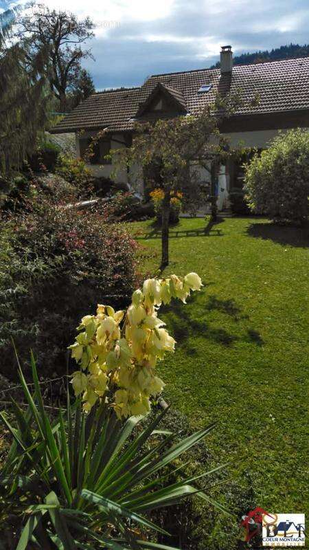 Maison saint-sigismond - photo 20