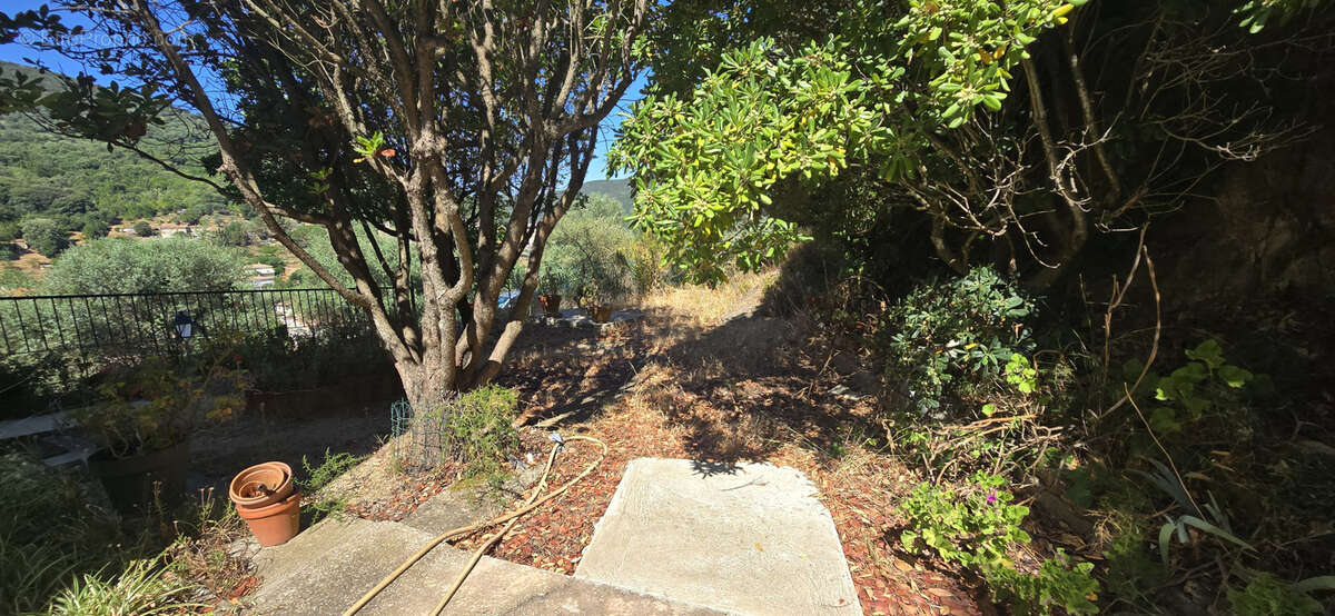 RARE: Appartement avec  jardin, parking et cave - photo 2