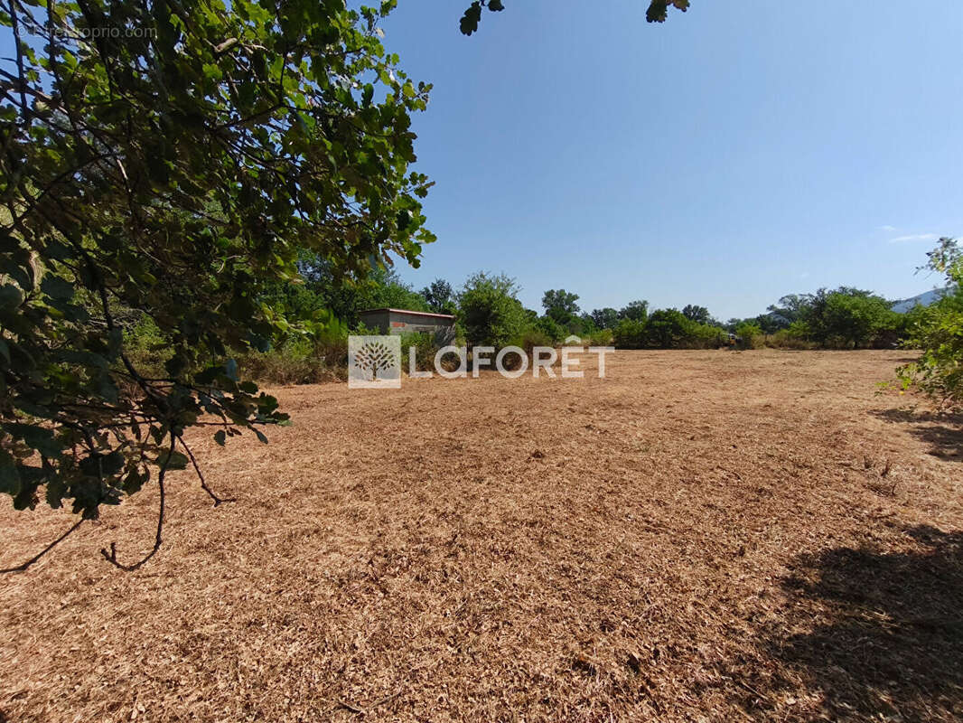 Terrain de loisirs non constructible avec cabanon Maureillas-Las-Illas - photo 3