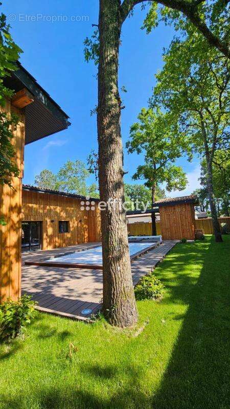 Maison 200 m² à Lege-Cap-Ferret  - photo 5