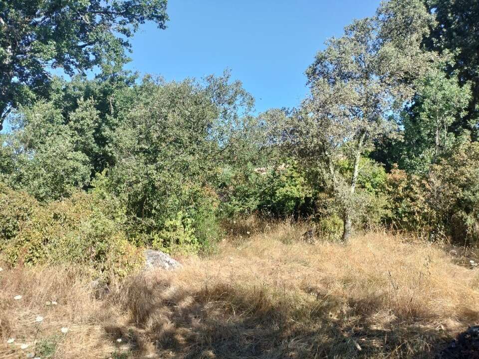 Terrain à CAMPS-LA-SOURCE