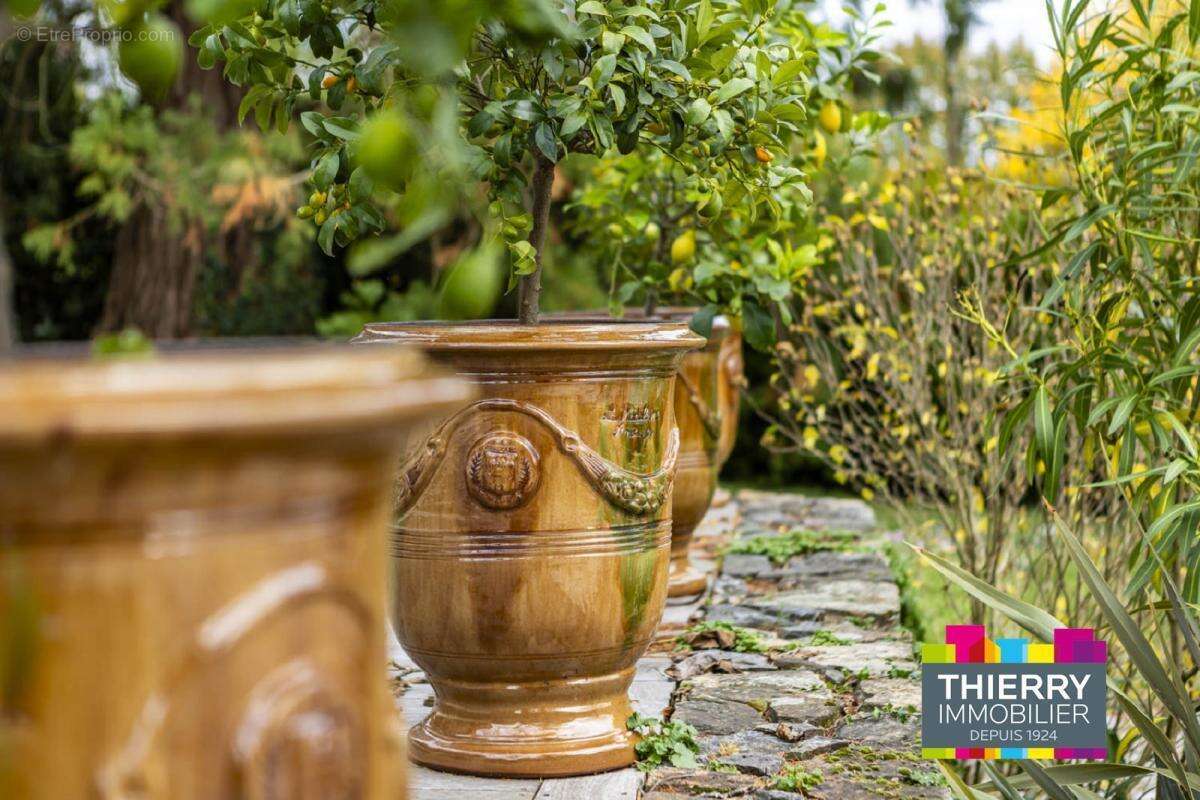 Maison à MAUVES-SUR-LOIRE