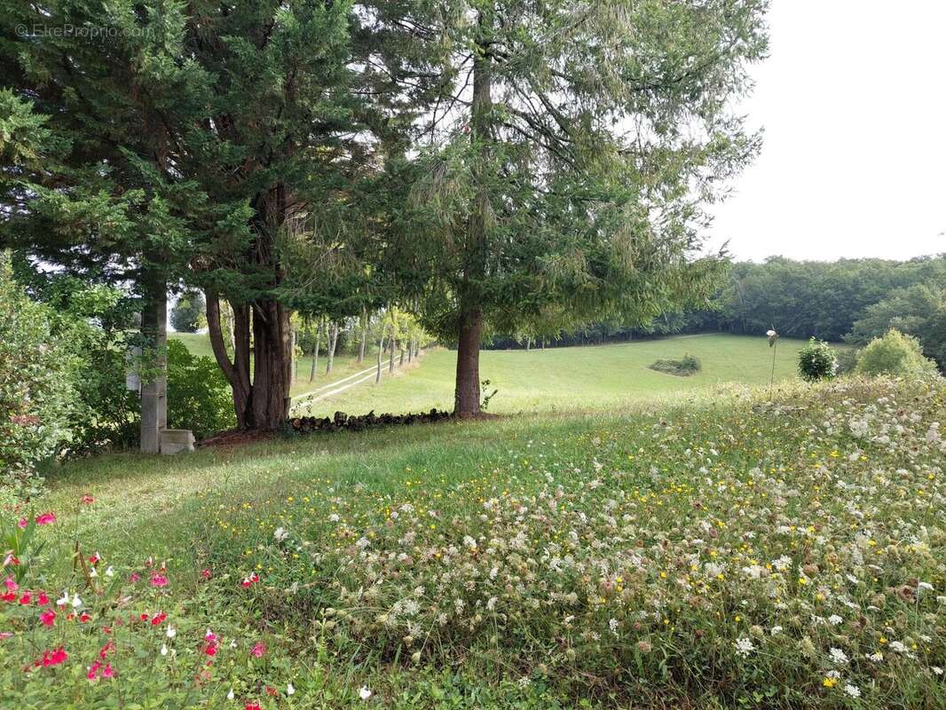 Maison à DAUMAZAN-SUR-ARIZE