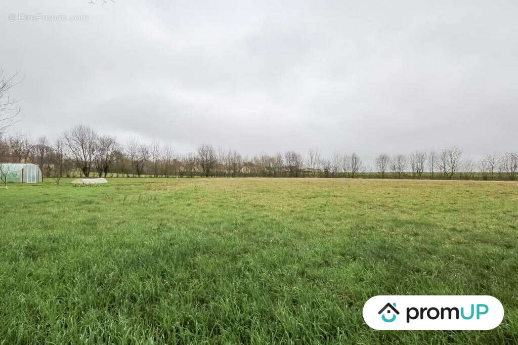 Terrain à CHAILLOUE