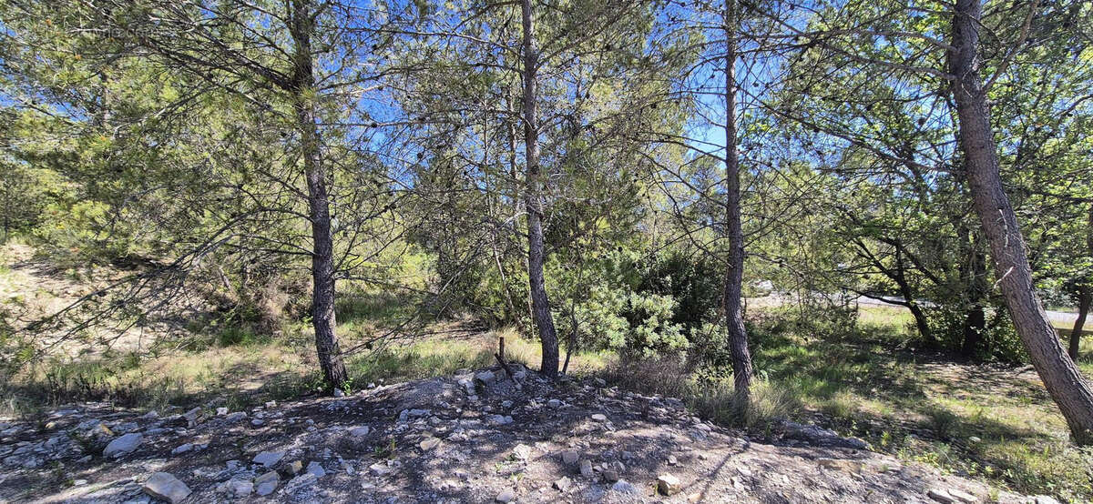 Terrain à LAURET