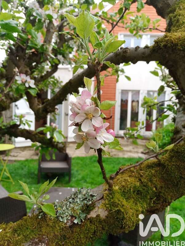 Photo 2 - Maison à VOISINS-LE-BRETONNEUX