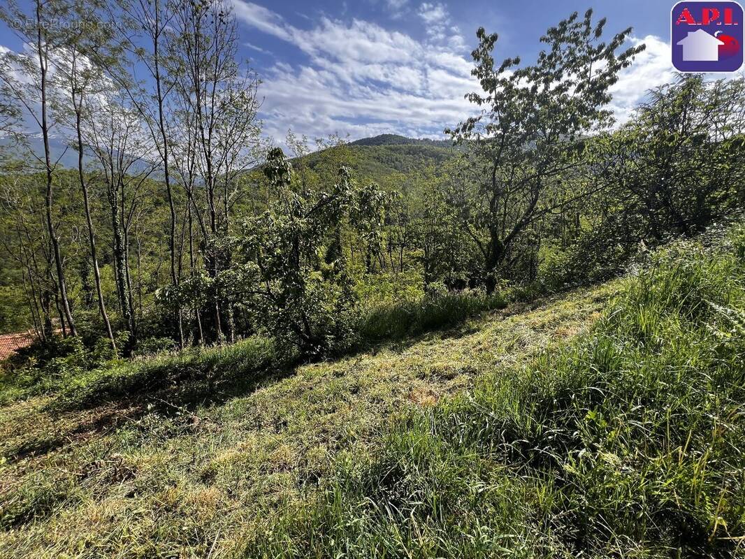 Terrain à FOIX