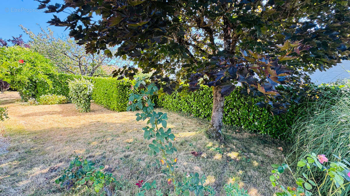Maison à LA ROCHE-SUR-YON