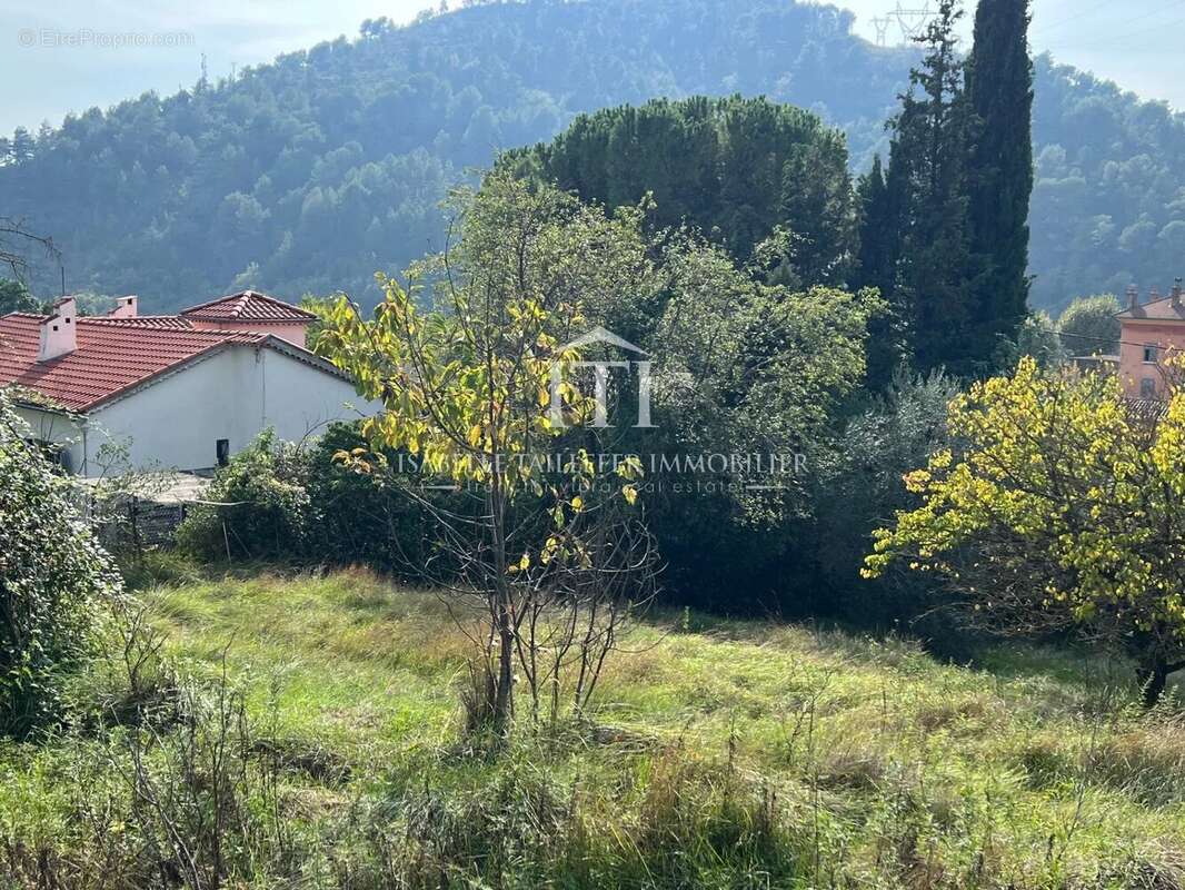 Terrain à L'ESCARENE