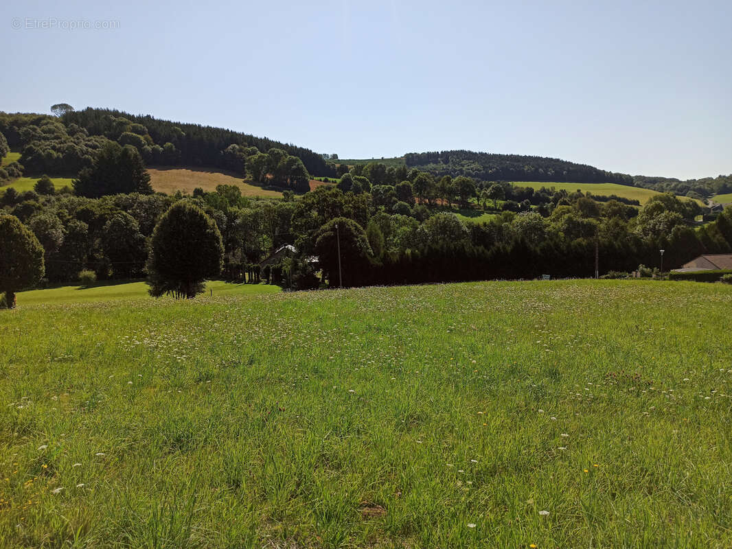 Terrain à LA SALVETAT-SUR-AGOUT