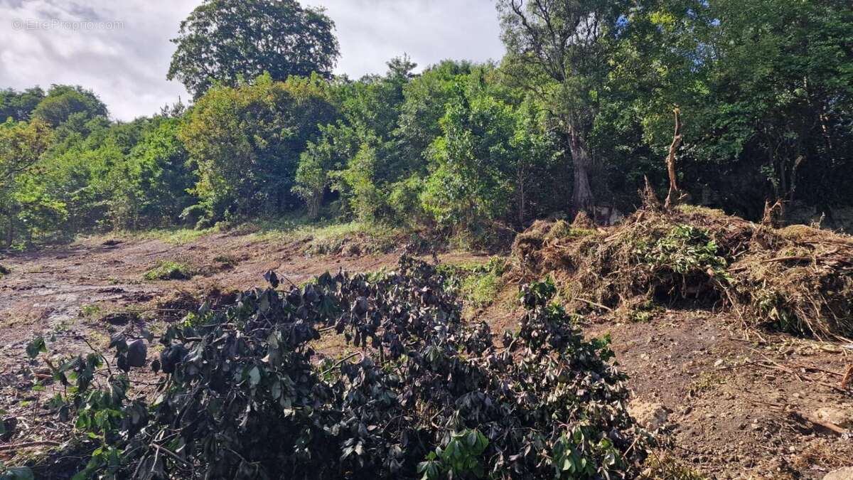 Terrain à LES ABYMES