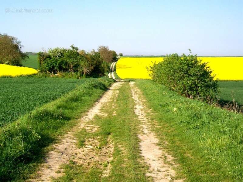 Terrain à RULLY