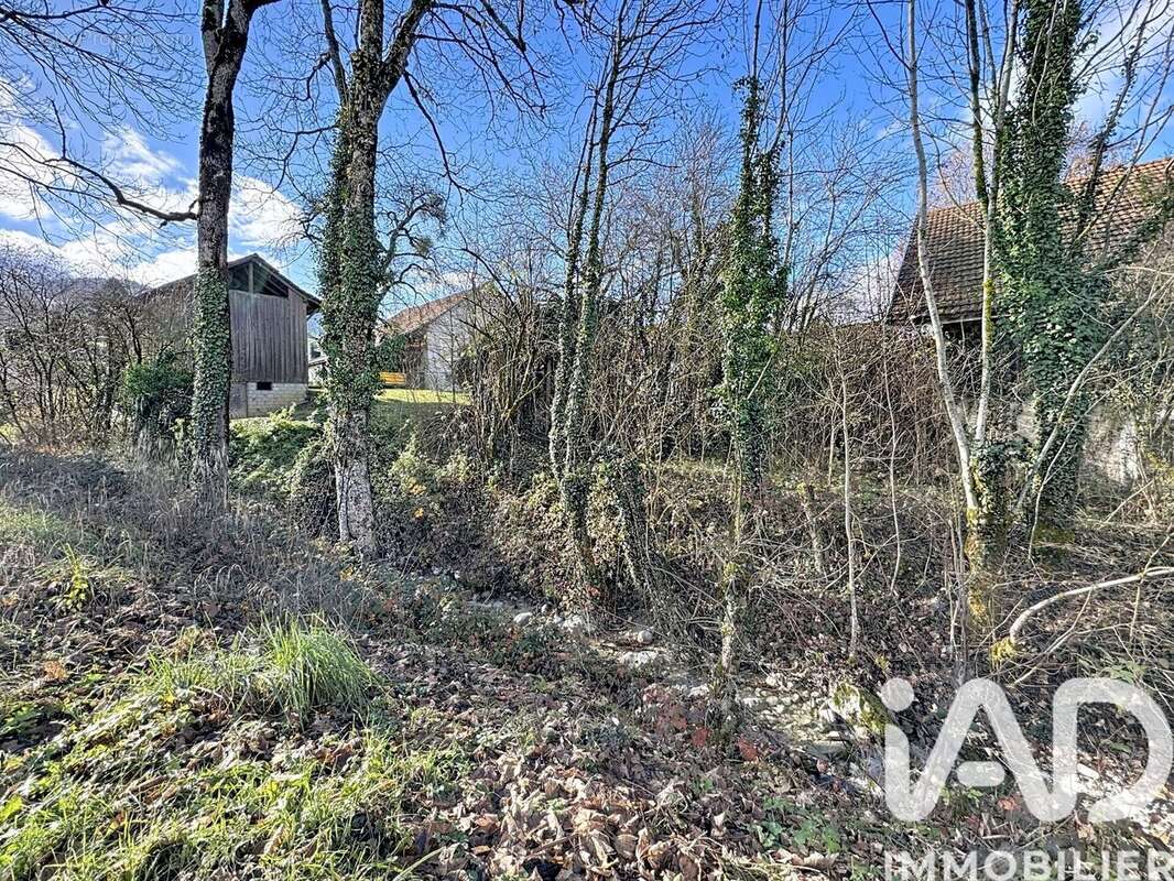 Photo 3 - Maison à SAINT-LAURENT