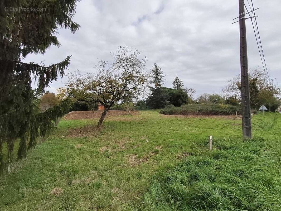 Terrain à SAINT-CLAUD