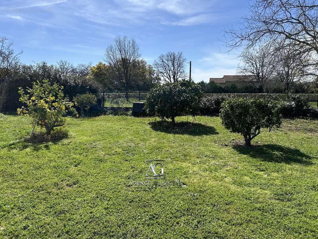 Maison à PRUNELLI-DI-FIUMORBO