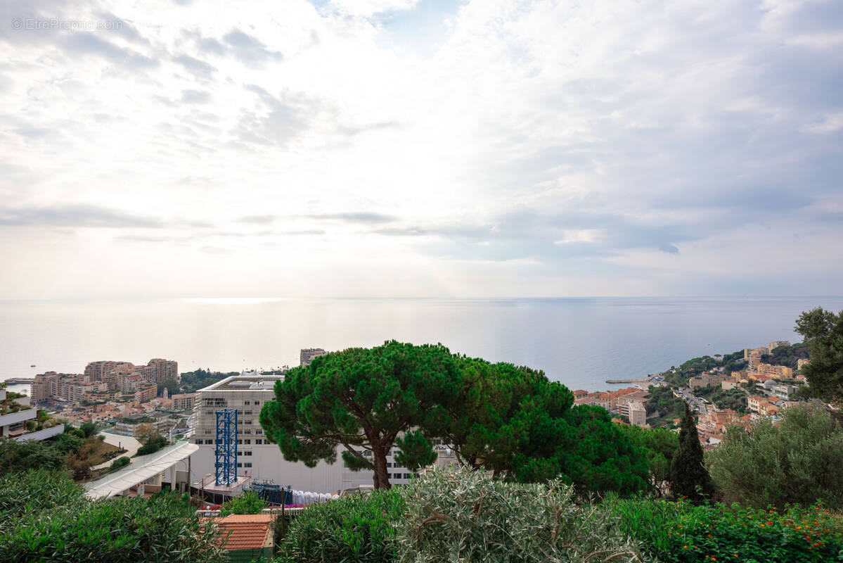Appartement à CAP-D&#039;AIL