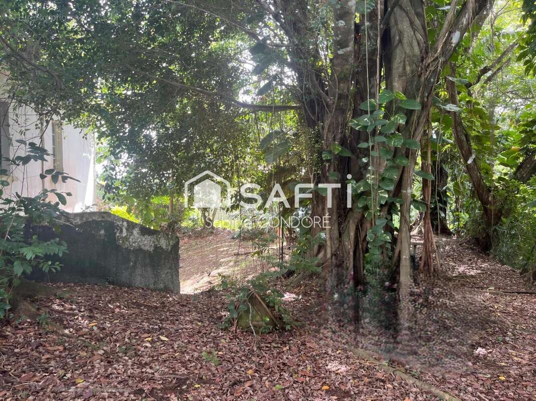 Photo 8 - Maison à SAINT-JOSEPH