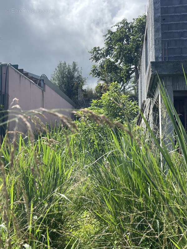 Terrain à SAINT-PAUL