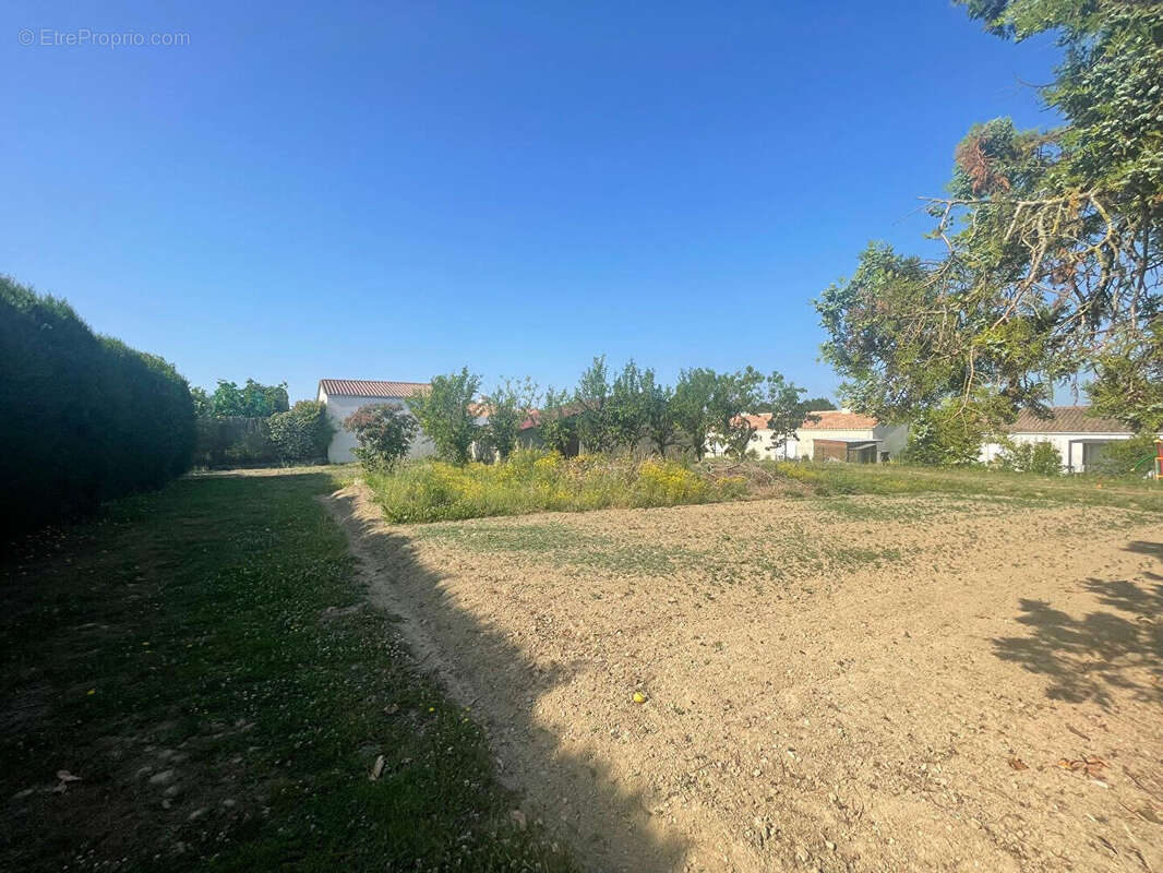 Terrain à LA CHAPELLE-ACHARD