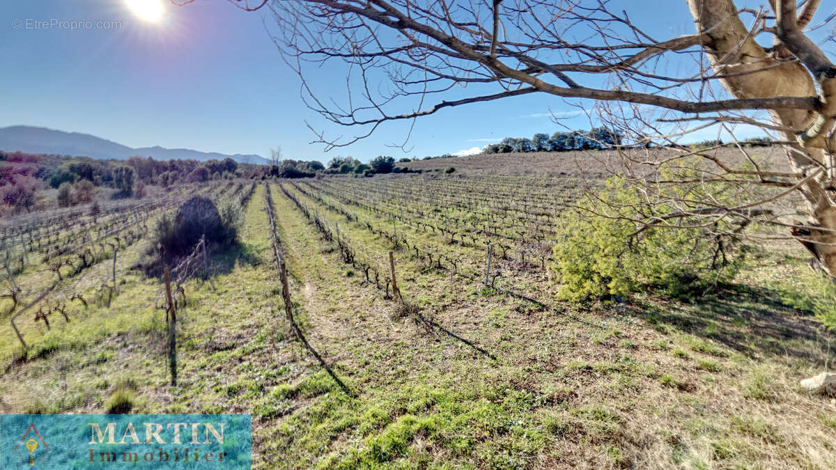 Propriété rurale agricole - photo 15
