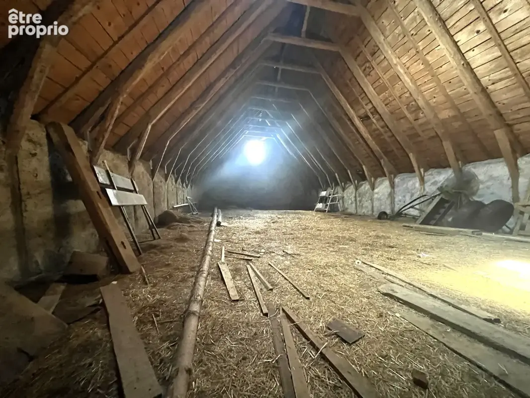 Entre besse et super-besse propriete en pierre avec grange, ecurie et source sur 12594m2 de terrain - photo 16