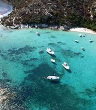 Appartement à SAN-MARTINO-DI-LOTA