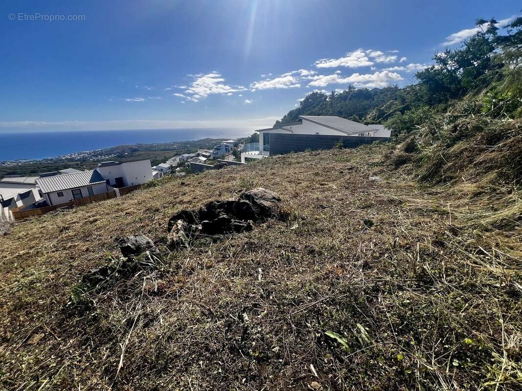 Terrain à SAINT-PAUL