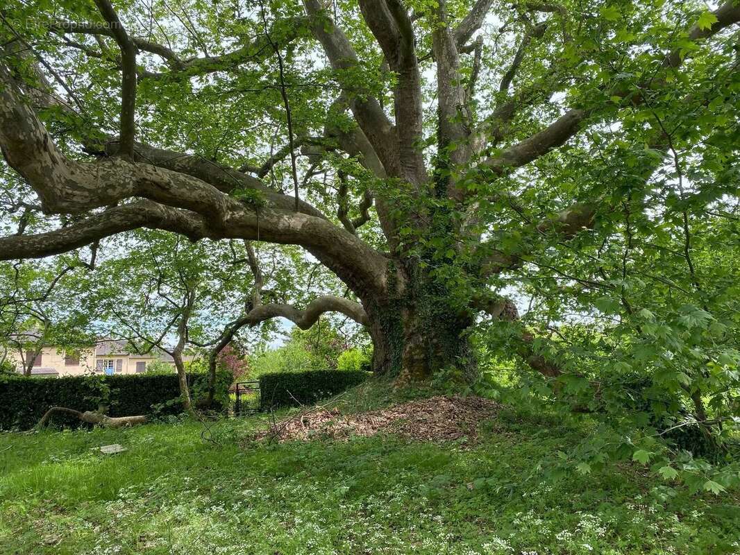 Appartement à LES CLAYES-SOUS-BOIS