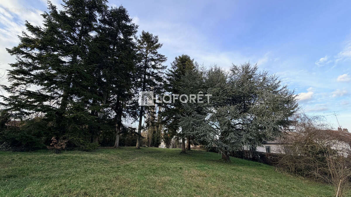 Maison à SAINTE-MENEHOULD